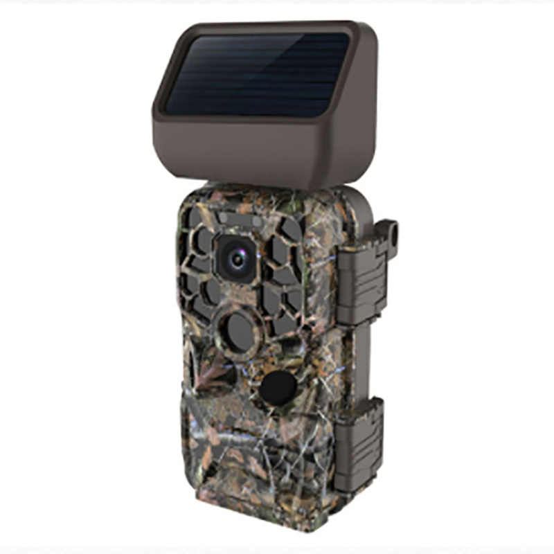 ໃຫມ່ຫຼ້າສຸດ 480p 1080p 24 ipp Photo Photo Vameless Damous ການລ່າສັດໄຮ້ສາຍ WiFi WiFi